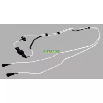 Tuyauterie de carburant INTFRADIS OEM 8200218942