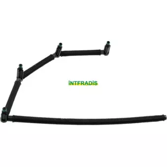 Tuyau, carburant de fuite INTFRADIS 10221