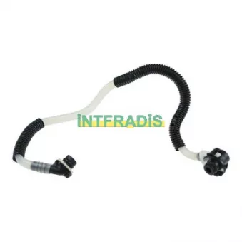 Tuyauterie de carburant INTFRADIS OEM 6110706832