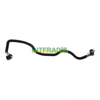 Tuyauterie de carburant INTFRADIS OEM 6110704832