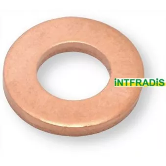 INTFRADIS 10494 - Joint d'étanchéité, porte-injecteur