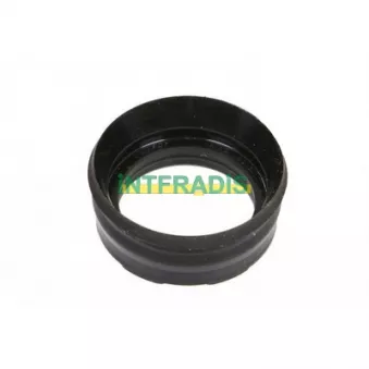 INTFRADIS 10601 - Bague d'étanchéité, injecteur
