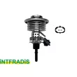 INTFRADIS 10728 - Injecteur, injection d'urée