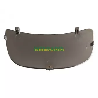 INTFRADIS 12088 - Verre de rétroviseur, rétroviseur extérieur