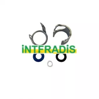 INTFRADIS 24007 - Kit de joints, injecteur