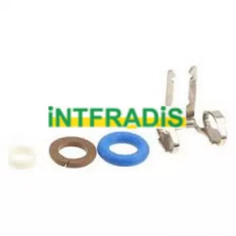 INTFRADIS 24009 - Kit de joints, injecteur