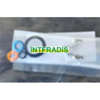 INTFRADIS 24010 - Kit de joints, injecteur