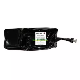 INTFRADIS C10 - Lot de rattrapage, filtre à particules / à suie