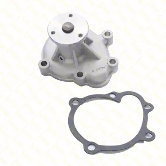 Pompe à eau, refroidissement du moteur GUTTMANN [PE162]