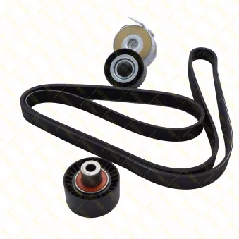 Jeu de courroies trapézoïdales à nervures GUTTMANN [PVK611]