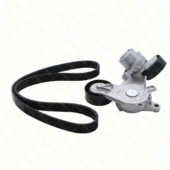 GUTTMANN PVK621 - Jeu de courroies trapézoïdales à nervures