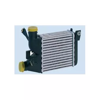 BÖLK BOL-C031698 - Intercooler, échangeur