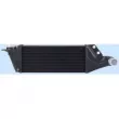 Intercooler, échangeur BÖLK [BOL-C031713]