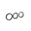 SKF VKBA 1393 - Roulement de roue arrière