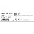SKF VKBD 80125 V2 - Jeu de 2 disques de frein avant