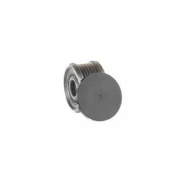 Kit Poulie Roue Libre Alternateur SKF - Réparation Qualité Pro - 6