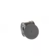 SKF VKM 03828 - Poulie roue libre, alternateur