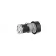 SKF VKM 31058 - Poulie-tendeur, courroie trapézoïdale à nervures