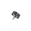SKF VKM 31307 - Poulie renvoi/transmission, courroie trapézoïdale à nervures