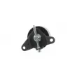 SKF VKM 34005 - Poulie-tendeur, courroie trapézoïdale à nervures