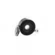 SKF VKM 61053 - Poulie renvoi/transmission, courroie trapézoïdale à nervures