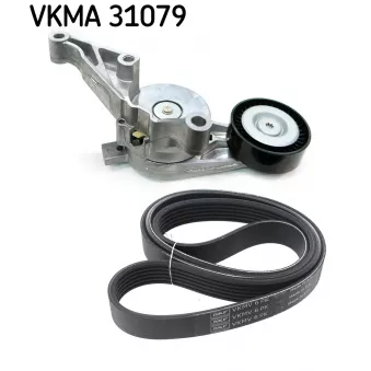 Jeu de courroies trapézoïdales à nervures SKF [VKMA 31079]