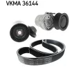 Jeu de courroies trapézoïdales à nervures SKF [VKMA 36144]