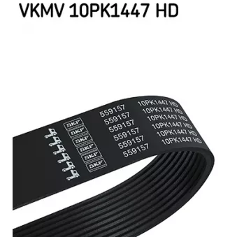SKF VKMV 10PK1447 HD - Courroie trapézoïdale à nervures