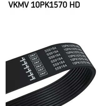Courroie trapézoïdale à nervures SKF VKMV 10PK1570 HD