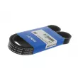 Courroie trapézoïdale à nervures SKF [VKMV 6PK1020 R]