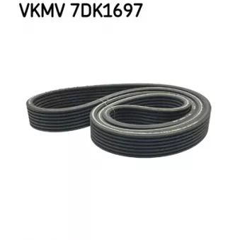 SKF VKMV 7DK1697 - Courroie trapézoïdale à nervures