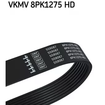 SKF VKMV 8PK1275 HD - Courroie trapézoïdale à nervures