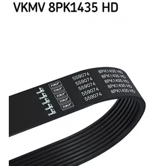 Courroie trapézoïdale à nervures SKF VKMV 8PK1435 HD