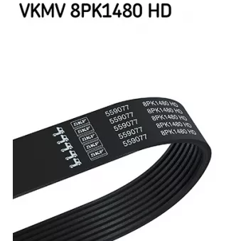 SKF VKMV 8PK1480 HD - Courroie trapézoïdale à nervures