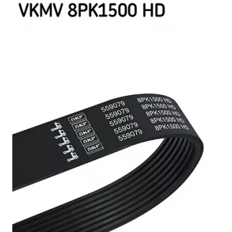 Courroie trapézoïdale à nervures SKF VKMV 8PK1500 HD