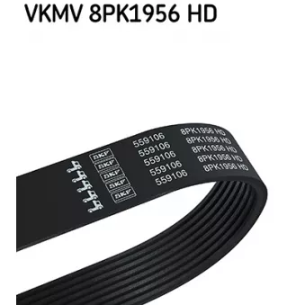 Courroie trapézoïdale à nervures SKF VKMV 8PK1956 HD
