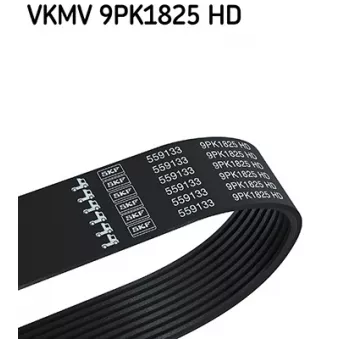Courroie trapézoïdale à nervures SKF VKMV 9PK1825 HD