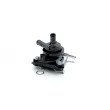 SKF VKPA 91902 - Pompe à eau