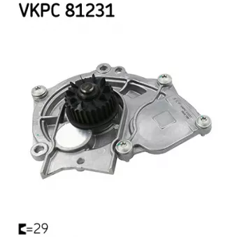 Pompe à eau SKF VKPC 81231