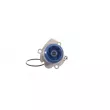 SKF VKPC 81302 - Pompe à eau