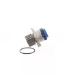 SKF VKPC 81302 - Pompe à eau
