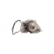 SKF VKPC 83421 - Pompe à eau