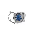 SKF VKPC 85300 - Pompe à eau