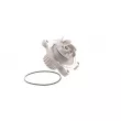 SKF VKPC 86619 - Pompe à eau