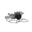 SKF VKPC 88843 - Pompe à eau