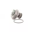 SKF VKPC 90202 - Pompe à eau