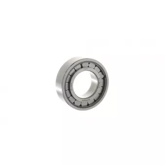 Suspension, boîte manuelle SKF OEM 231788