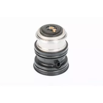Thermostat, liquide de refroidissement WAHLER 410448.107D