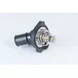 WAHLER 411886.82D - Thermostat d'eau