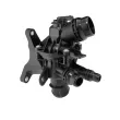 WAHLER 412113.101D - Thermostat, liquide de refroidissement